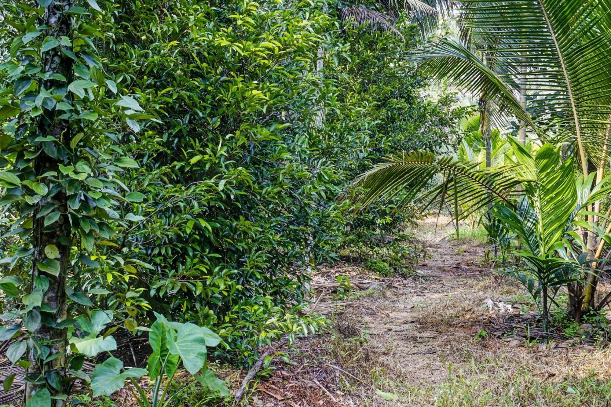 Spot On Shalom Palace Residency Neriyamangalam Zewnętrze zdjęcie