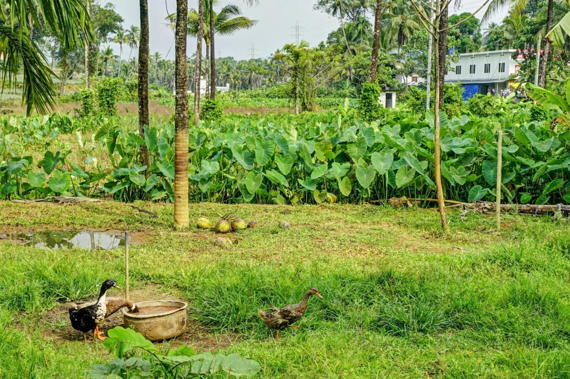 Spot On Shalom Palace Residency Neriyamangalam Zewnętrze zdjęcie